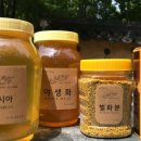박가네양봉농장 이미지