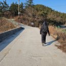 은혜태양광발전소 이미지