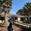 안성리-2 | 제주 벨진밧 카페 5·6세 아이랑 다녀온 후기 제주투어패스