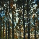 안산초입 화장실 이미지