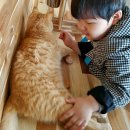 펠리스뻬로