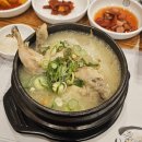 팔팔삼계탕 | [일산동구] 삼계보감 본점, 녹두 삼계탕으로 피로 싹 풀고 몸보신 완료 일산동구맛집