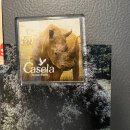 행복카랜드 | [두바이~모리셔스]카젤라 파크 후기 및 소소한 꿀팁들!!