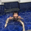 육갑선생 이미지