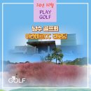 창원 CC | 창원 아라미르CC 라운딩 후기