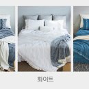 블루앤세탁소 이미지