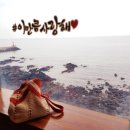 검은들길(시청길~번영로) | [제주도여행/비올때갈만한곳] 비오는 제주 여행코스(드라이브코스) 추천