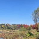 슬로우팔봉45 이미지