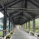 GS25 상패무궁화점 | [곤지암 리조트] 미라시아 조식 솔직 후기 / 8월 화담숲 여름 수국 축제 막바지 후기