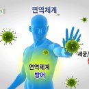 셀타민