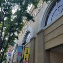 부동산아울렛공인중개사사무소 이미지