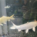 스마일카센터 이미지