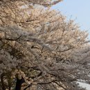 수봉양궁장 이미지