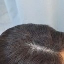 채재현크리닝 | 동대문 인모가발 자연스러운 헤어 스타일링을 위한 선택 기준과 관리법