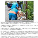 ﻿울산온양 하나님의 교회, 온양읍 대운산 입구 정화운동 실시 이미지