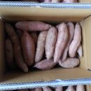 트리플농장 이미지