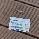 경머리방 | 외연도 봄섬여행 스케치