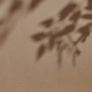 스튜디오스터닝 네이버블로그