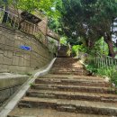 약수공원(독도박물관) | 독도일출전망대케이블카 - 울릉도 케이블카 솔직 후기 전망 비용 주차 독도박물관 반려동물