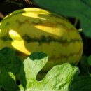 영미민박 이미지