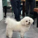 복향원판점 | 충무로 골목 안쪽, 동국대 후문 오랜 중식 노포 복향원판점 福香源餐厅