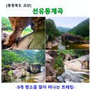 청천면사무소 | [충북 괴산] 선유동계곡 트레킹