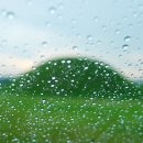 비하우스 게스트하우스 이미지