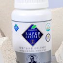 푸엘라스토어