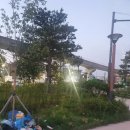 캠프 라과디아 체육공원 이미지