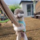 멍스테이션 이미지