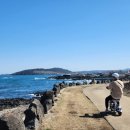 함덕스쿠버다이빙 이미지