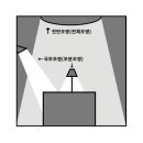 비춤조명