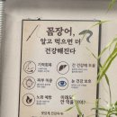 포항 죽도동 원조산호숯불아나고곰장어 포항본점 / 꼼장어 맛집 추천 내돈내산 후기