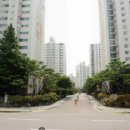 분당다원동물병원 이미지