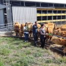 만희농장 이미지