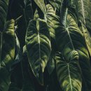 석바위한의원 이미지