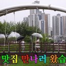 형곡로-1 이미지