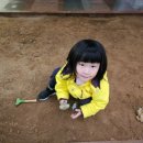 진도기업 이미지