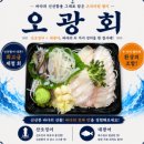 송파 가락시장 횟집 오징어회 맛집 [바다나라] 광어 + 오징어회 포장 후기