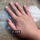 그린이파워 | 유아부터 초등아이까지 안심! 눈 따갑지 않은 선크림 추천, 그린핑거 야외놀이 선크림 파워블록 후기