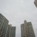 창조부동산중개사무소 티스토리