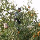 서연농장 이미지