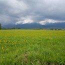 너른초원 이미지