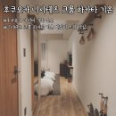 후쿠오카 가족숙소 추천 : 니시테츠 크룸 하카타 기온 다다미 트윈 객실 후기