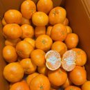 고랑몰랑 이미지