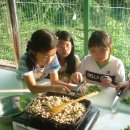 응암초등 이미지