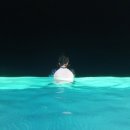 한미다방