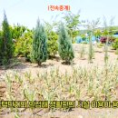 신하농장 이미지