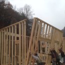 나무사이에 자연속으로 이미지