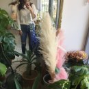 태경CO | 4월 둘째주_ #벚꽃엔딩, 아주미 데일리룩 데일리슈즈, 언제하지 다이어트